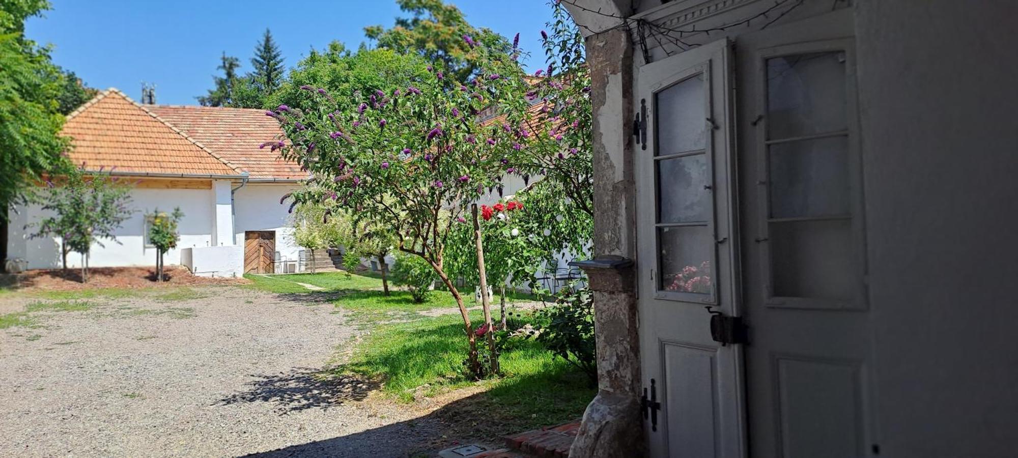 Plitzner Belvarosi Apartmanhaz Eger Zewnętrze zdjęcie